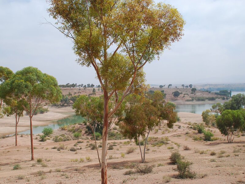 D&eacute;sert d'Agafay, Lac Lalla Takerkoust & Atlas