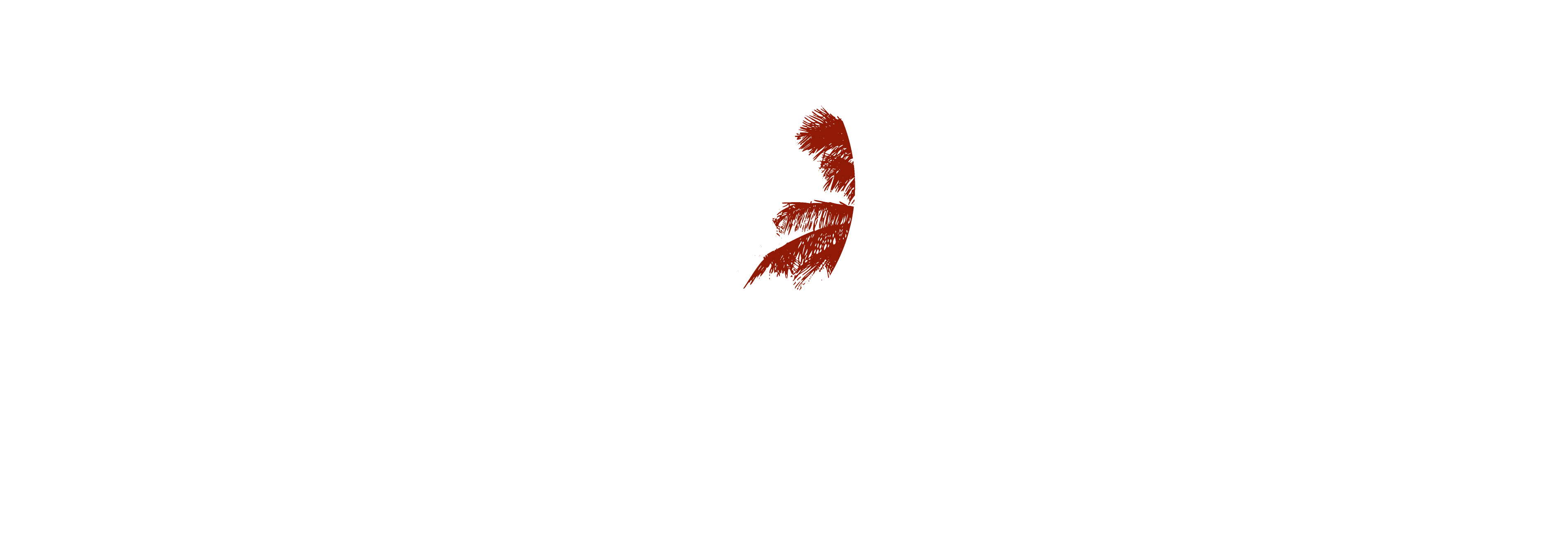 Riad Mylaya
